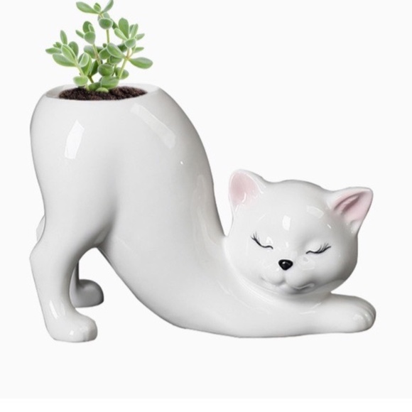 Cute Succulent Pots, Indoor Succulent Vase, Animal-Shaped Pot, Mini - Picture 3 of 7